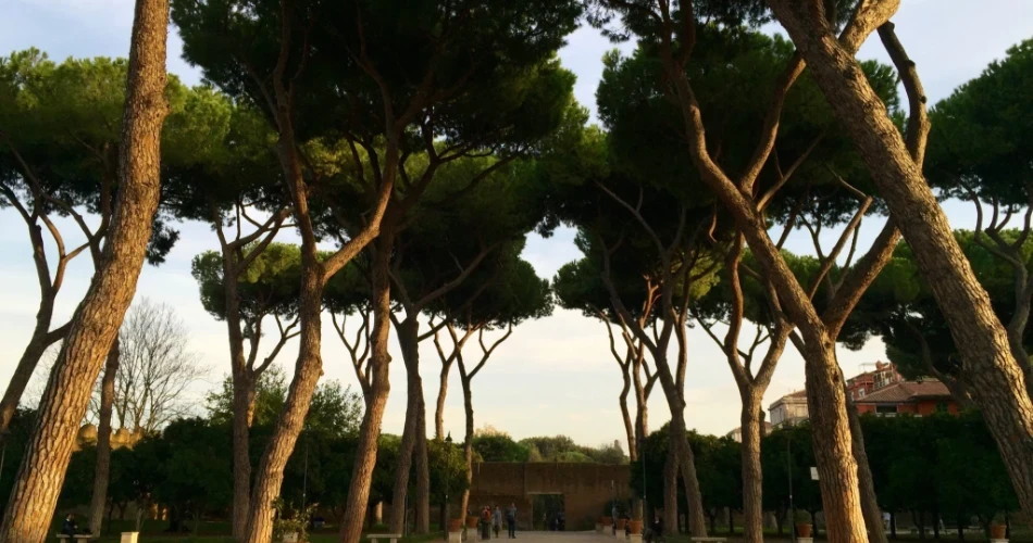 17 Unforgettable Things to Do in Rome, Italy