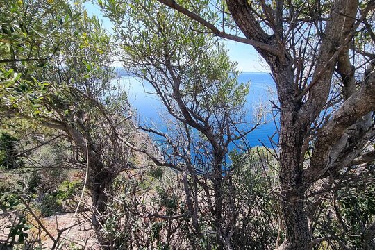 Tour image 14