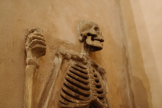 Tour image 14