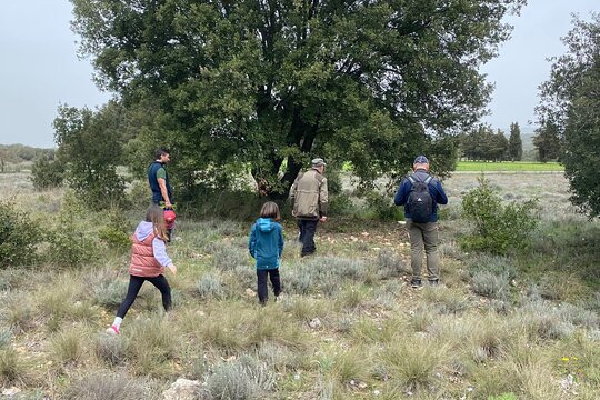 Tour image 6